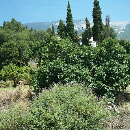 Diona Διαμέρισμα *