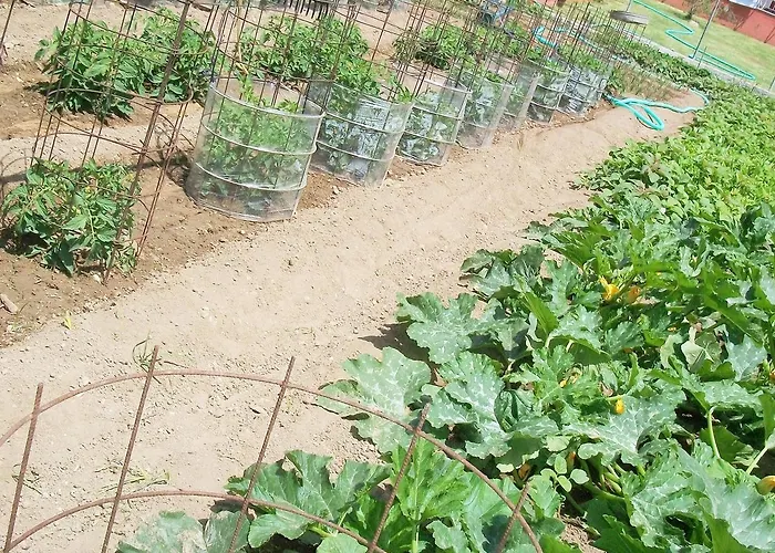 Appartement Diona Lourdata (Kefalonia)