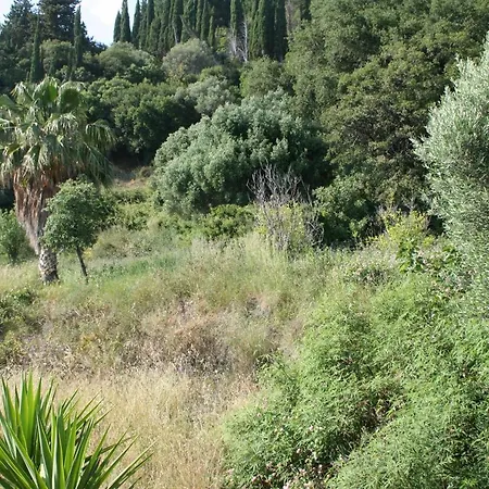 Diona Διαμέρισμα *