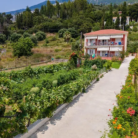 Diona Lourdata (Kefalonia)