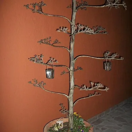 Diona Λουρδάτα