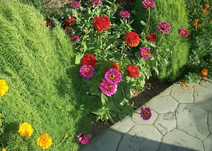 Diona Apartment Lourdata (Kefalonia)