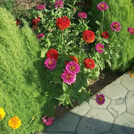 Diona شقة لورداهاتا