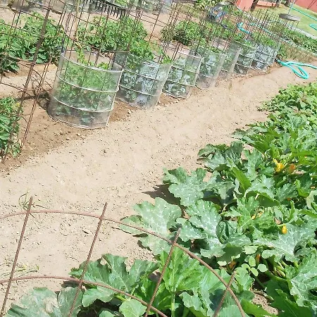 شقة Diona لورداهاتا